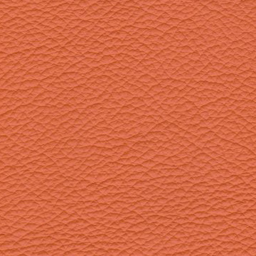 Sierra-2148 peach